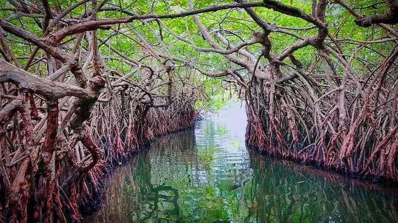 From Colombo to Galle Fort and Unawatuna Beach Day Trip - What the $48 price really covers
