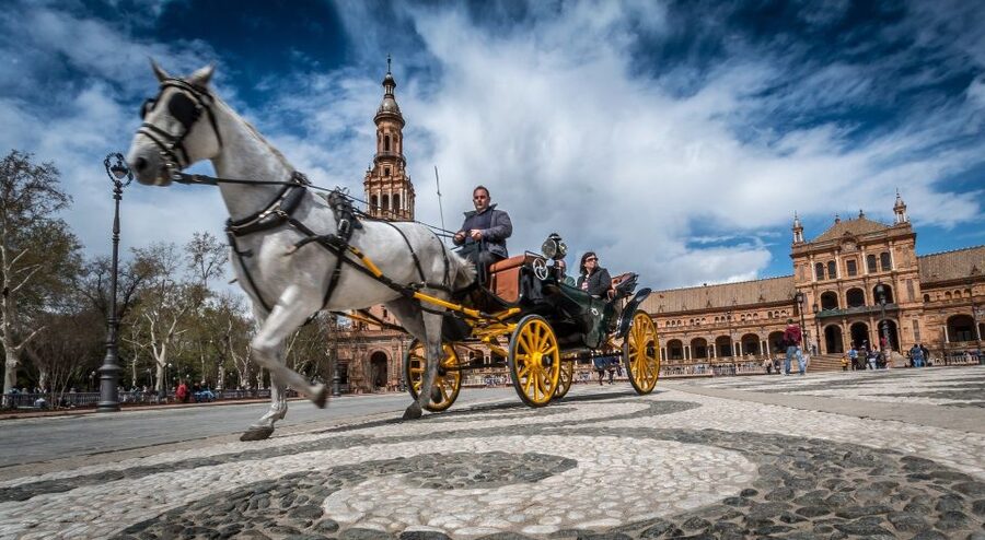 From Costa del Sol: Seville and Royal Alcázar Palace - Why Seville makes this a long but rewarding day