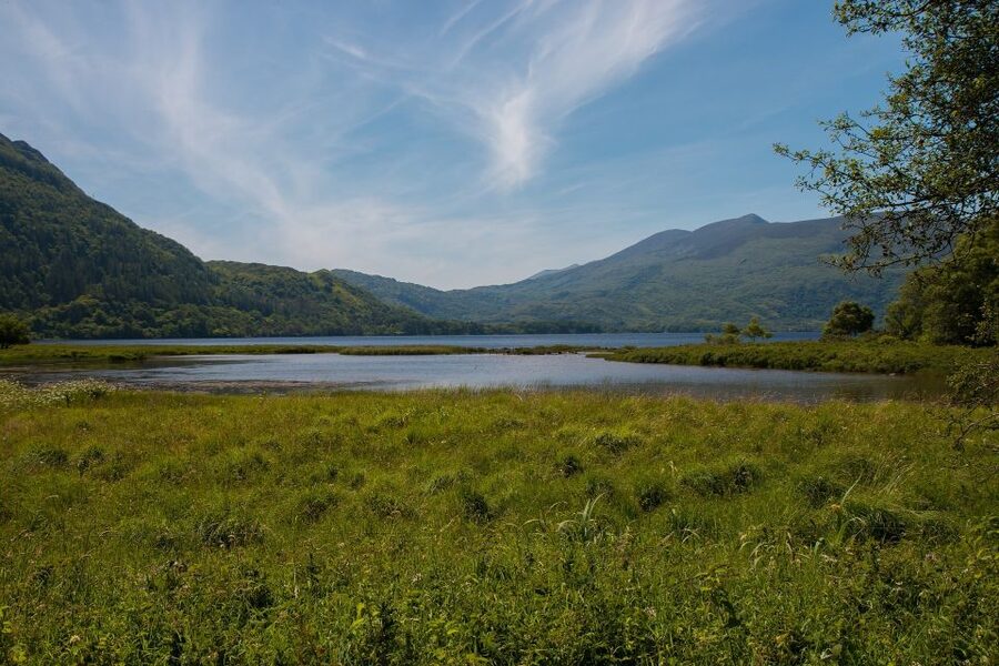 From Dublin: 2-Day Cork, Blarney Castle & Ring of Kerry Tour - The Ring of Kerry from 10:00 AM