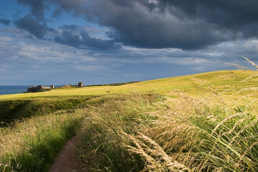 From Edinburgh: Glamis and Dunnottar Castles Tour in Italian - Glamis Castle trades cliffs for family grandeur
