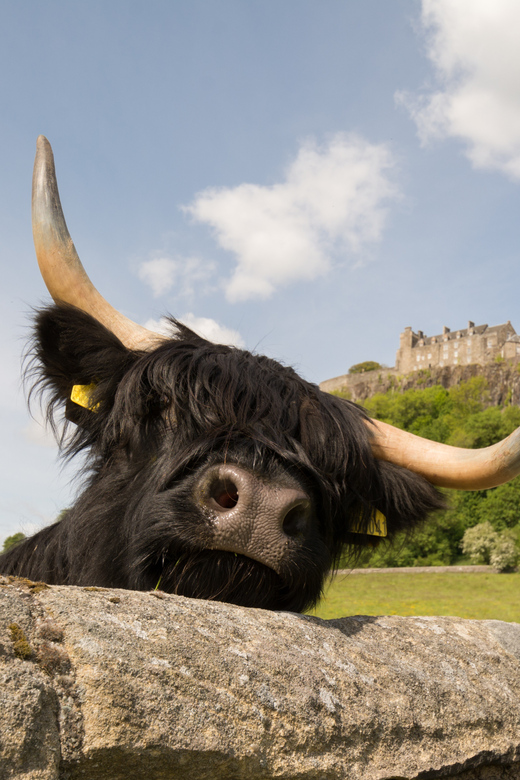 From Edinburgh: Loch Lomond, Stirling Castle & Kelpies Tour - A full Scottish day from Castle Terrace