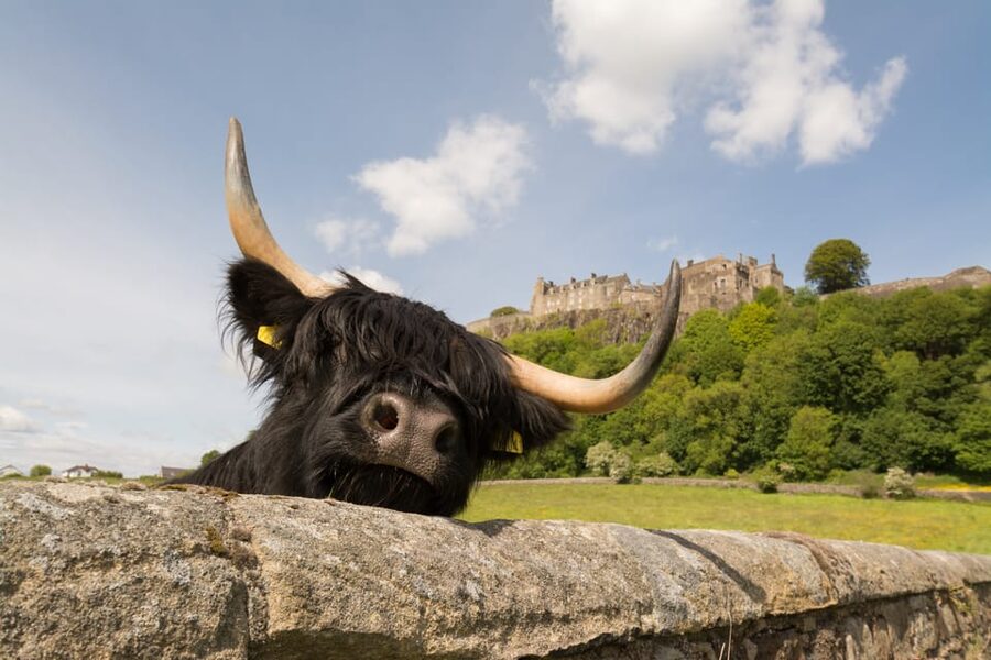 From Edinburgh: Loch Lomond, Stirling Castle & Kelpies Tour - Callander and the road toward Stirling