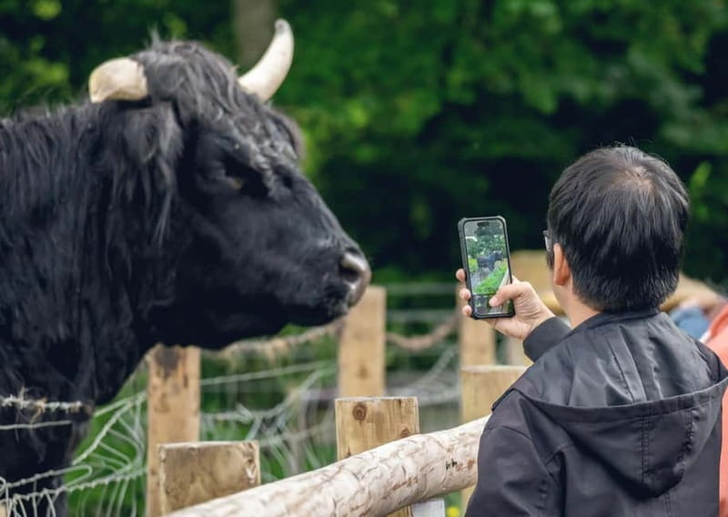 From Edinburgh: Stirling Castle, Kelpies and Loch Lomond - Why this day trip works from Edinburgh