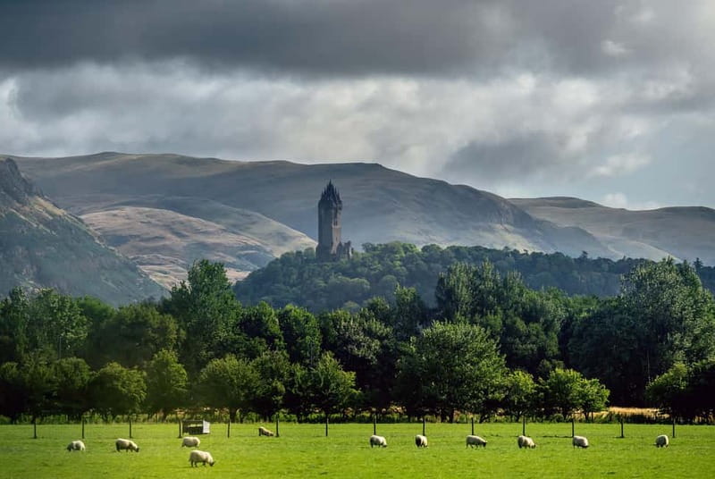 From Edinburgh: Stirling Castle, Kelpies and Loch Lomond - Meeting Scotland’s Highland cows