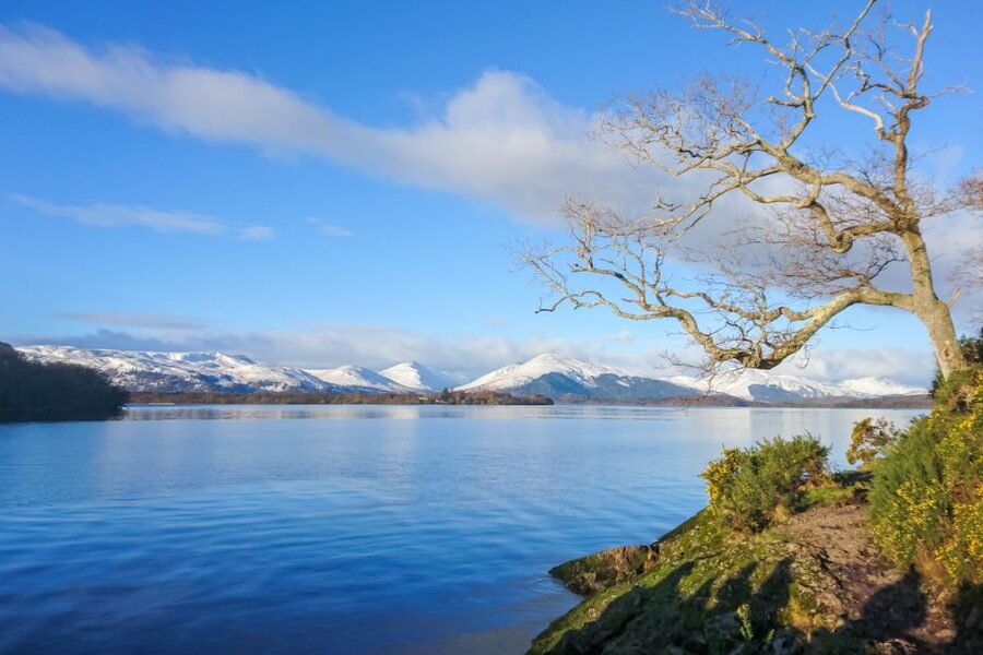 From Edinburgh: Stirling Castle, Loch Lomond & Whisky Tour - Should you book the Stirling, Loch Lomond, and whisky tour?