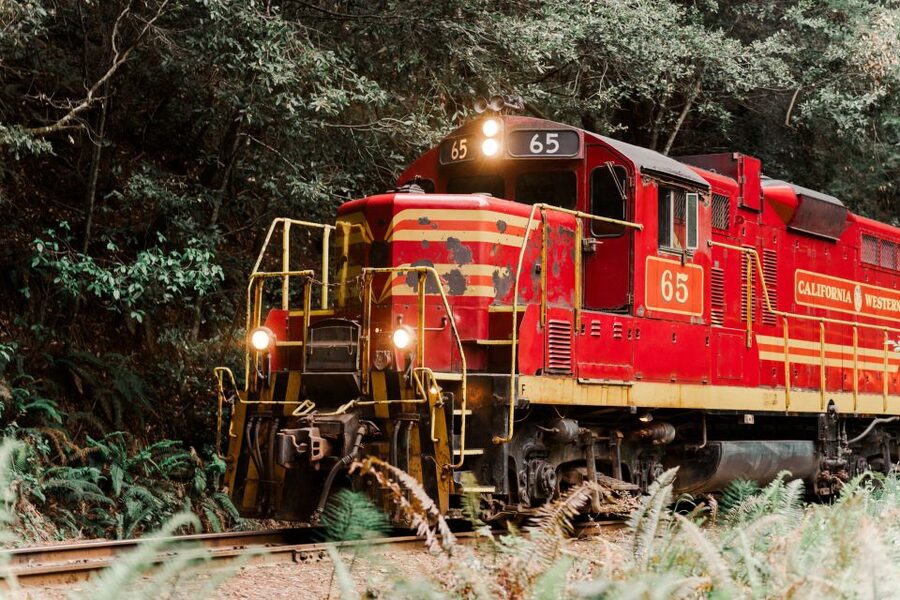 From Fort Bragg: Redwoods Train Ride and Nightclub Ticket - Riding the Skunk Train out of Fort Bragg