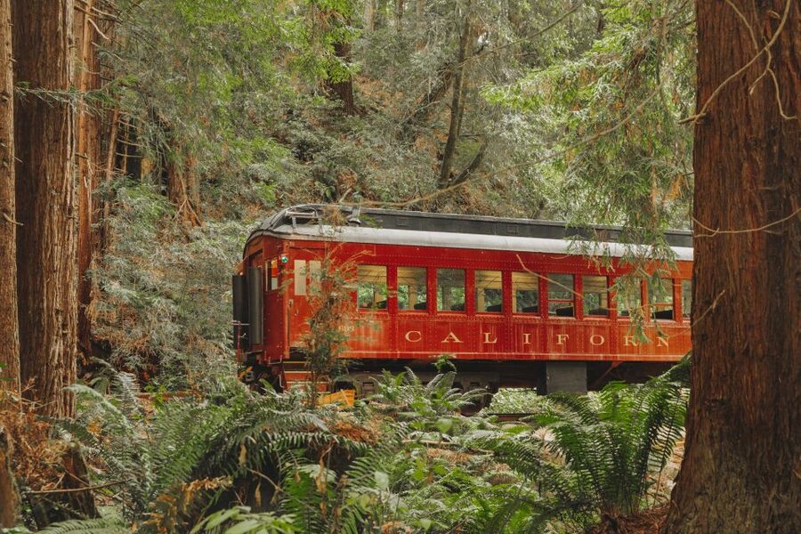From Fort Bragg: Redwoods Train Ride and Nightclub Ticket - Glen Blair Bar, a party far from town