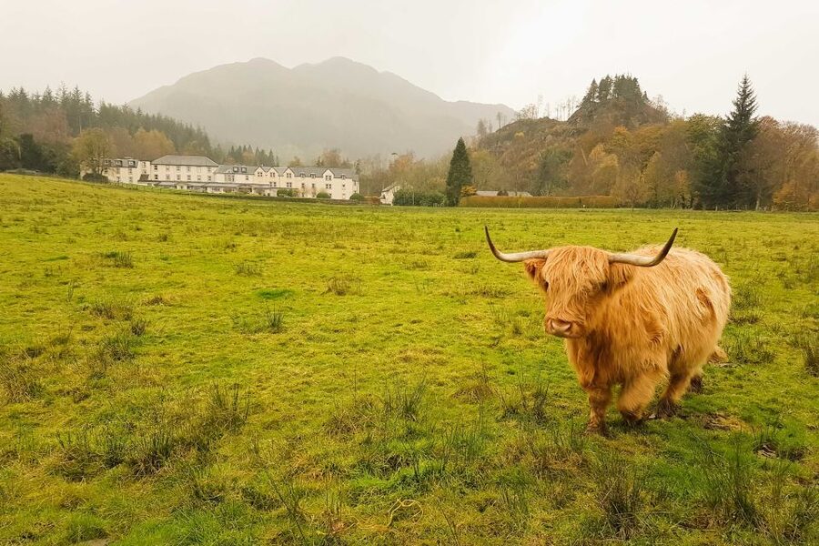 From Glasgow: Loch Lomond, Trossachs & Stirling Castle Tour - Boat cruise or Luss village?