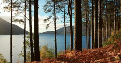 From Glasgow: Stirling Castle & Loch Lomond Tour with Cruise