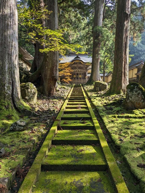 From Kanazawa: Eiheiji Buddhist Temple & Fukui Castle Town - Key points to know before booking