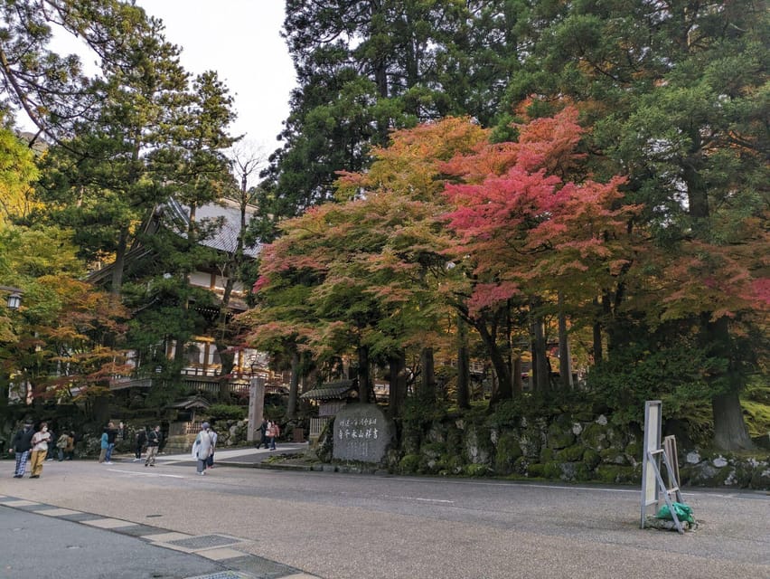 From Kanazawa: Eiheiji Buddhist Temple & Fukui Castle Town - Dinosaur Square gives Fukui an unexpected welcome