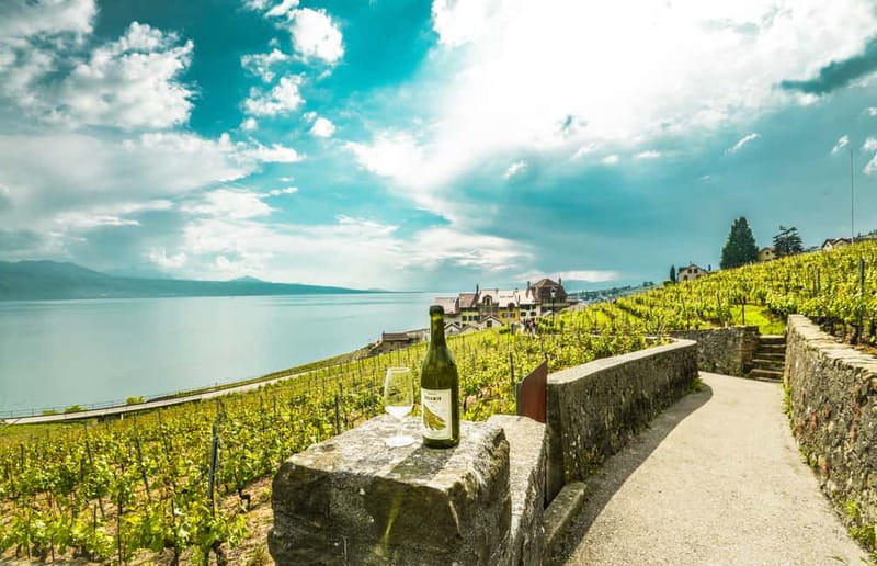 From Lausanne: Montreux, Chaplin, and Chillon Castle Tour - Lavaux vineyards: a short taste of Vaud