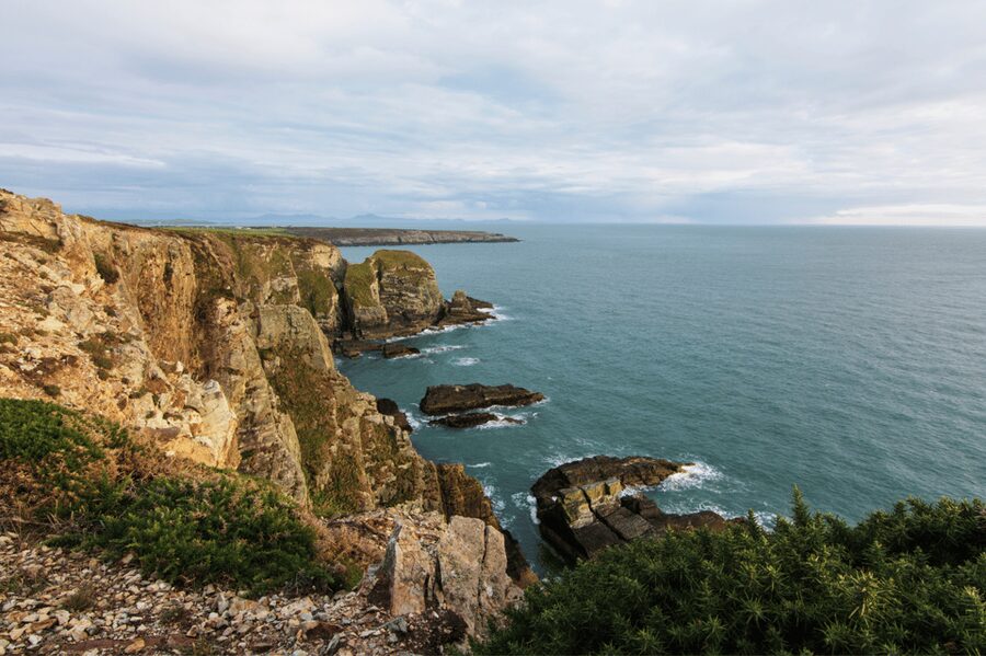 From Liverpool: North Wales and Caernarfon Castle Tour - Conwy, an hour among medieval walls
