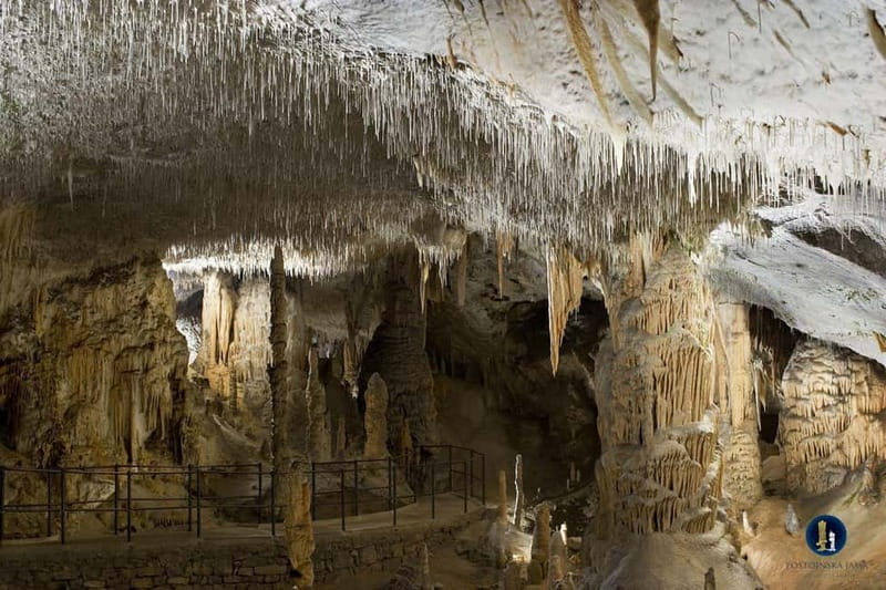 From Ljubljana: Postojna Cave, Predjama Castle, & Piran Tour - Three very different Slovenian sights in one day