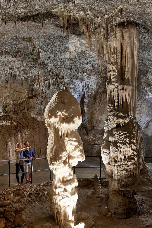 From Ljubljana: Postojna Cave, Predjama Castle, & Piran Tour - Piran, Tartini Square, and the Slovenian coast