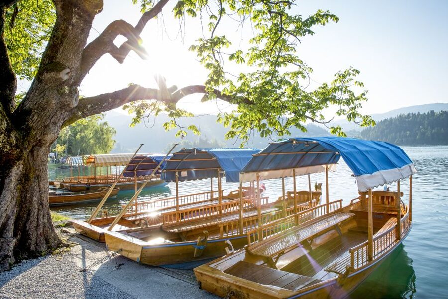 From Ljubljana: Trip to Lake Bled and Bled Castle - The guides make the difference