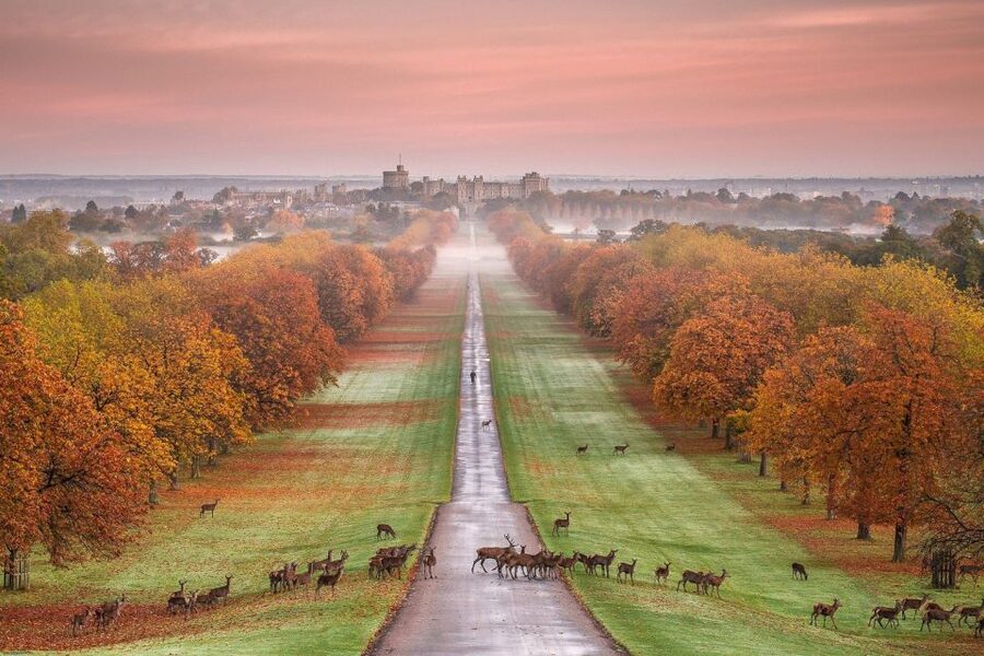 From London: Windsor Castle Royal Afternoon Sightseeing Tour - Two hours inside the castle: enough or not?