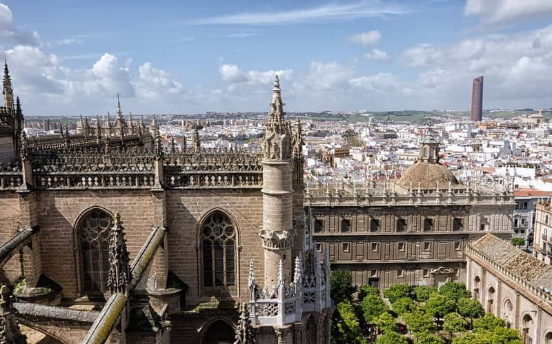 From Malaga: Seville Day Trip with Real Alcázar Tickets - Walking Santa Cruz at an easy pace