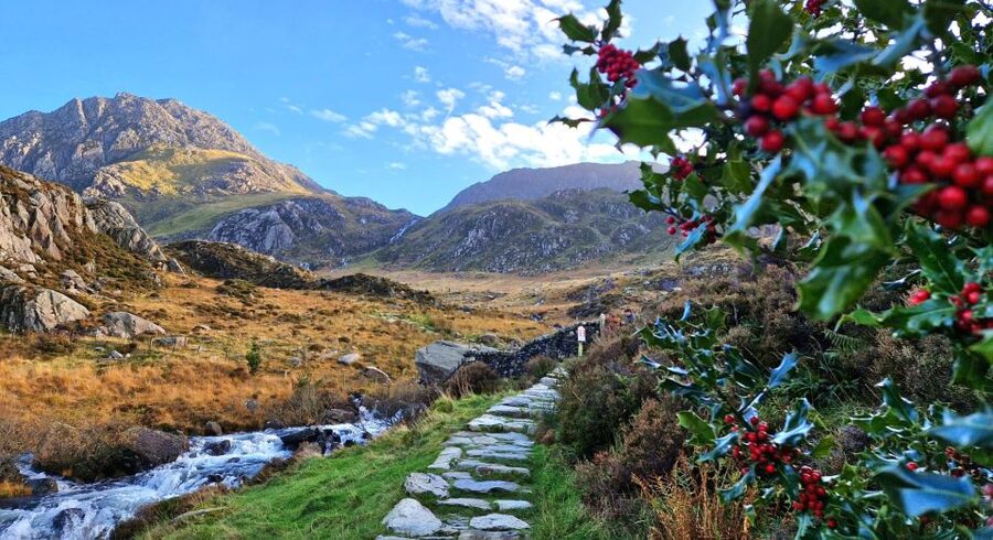 From Manchester: North Wales and Caernarfon Castle Day Trip - What $78 buys you