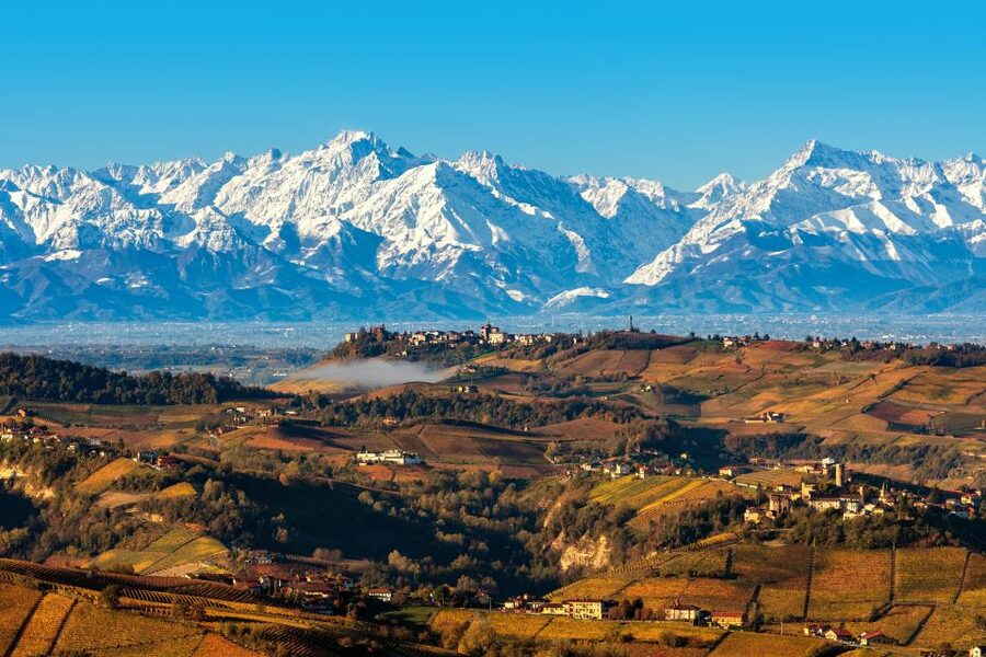 From Milan: Barolo Wine Tasting, Alba Tour and Castle Visit - From Milan to the Langhe hills