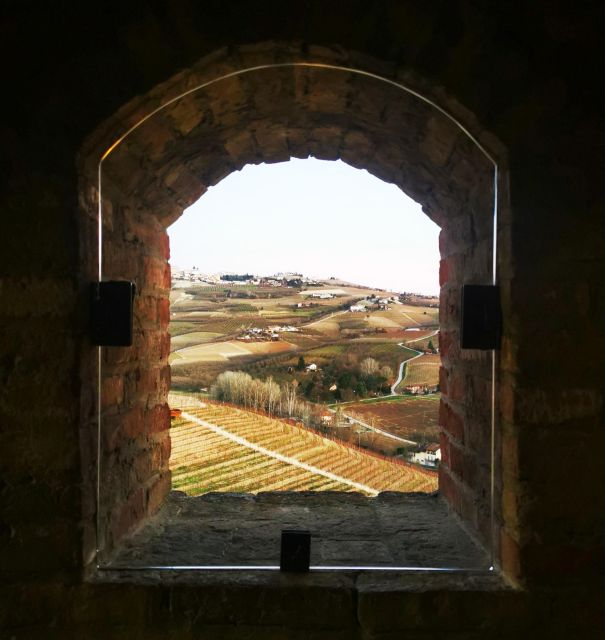 From Milan: Barolo Wine Tasting, Alba Tour and Castle Visit - A hilltop castle and the best views of the day