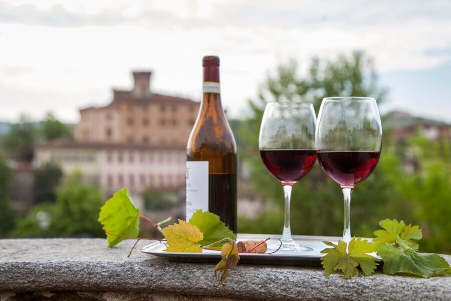 From Milan: Barolo Wine Tasting, Alba Tour and Castle Visit - What the day feels like in practice