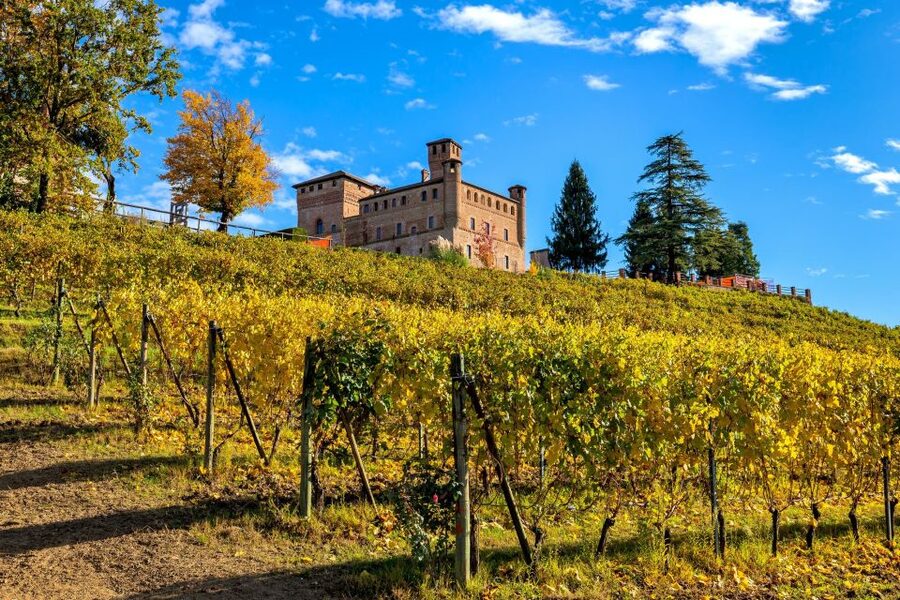 From Milan: Barolo Wine Tasting, Alba Tour and Castle Visit - Is the $225.44 price good value?
