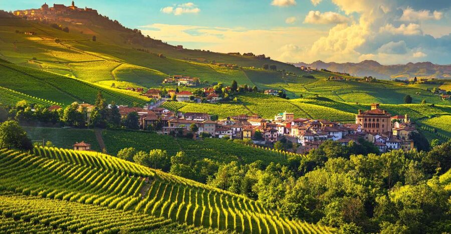 From Milan: Barolo Wine Tasting, Alba Tour and Castle Visit - Alba, Piedmont’s food-minded town
