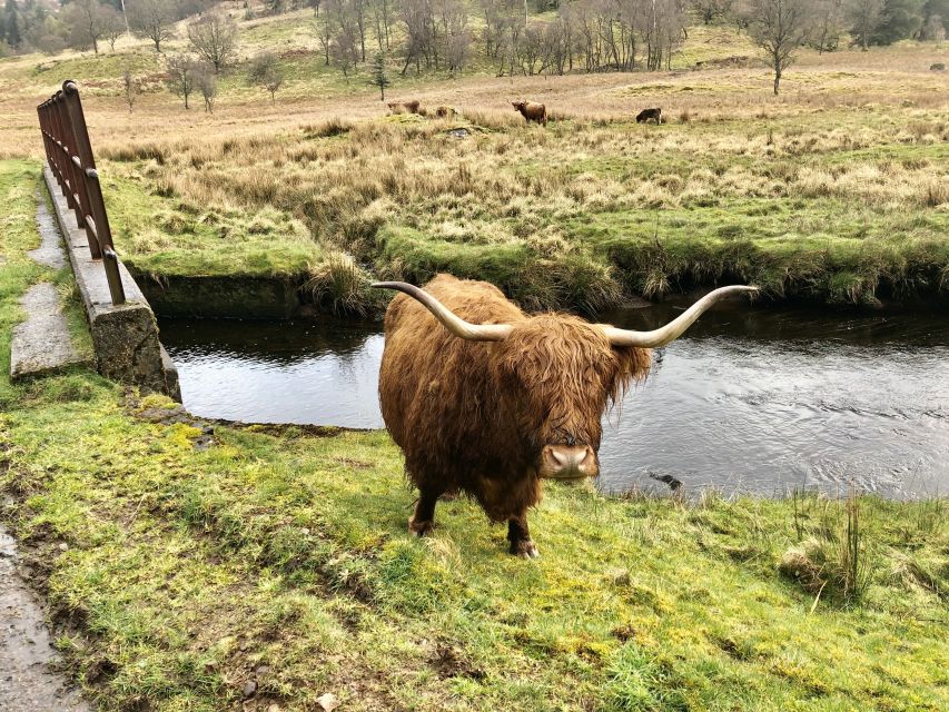 From Oban Glencoe and Castles Tour - Why this Oban tour works so well