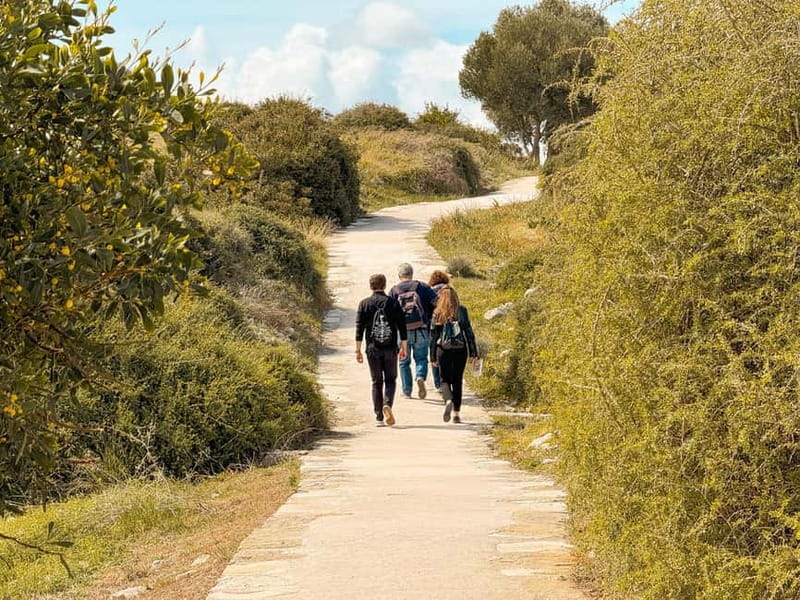 From Paphos: Trip to Limassol with Kourion & Kolossi Castle - Why this Paphos to Limassol day trip works