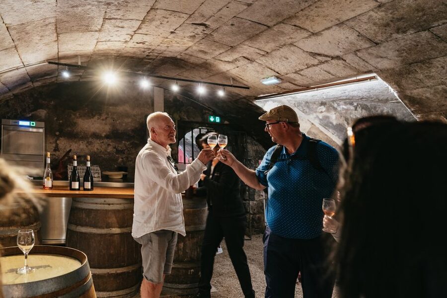 From Paris: Loire Valley Castles Day Trip With Wine Tasting - Blois: two hours for lunch and a small-town pause