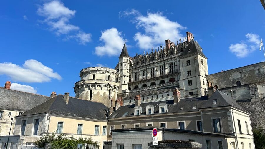 From Paris: Loire Valley Castles & Orleans Guided Tour - Who should book this tour