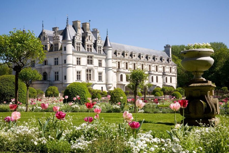 From Paris: Small-Group Loire Valley Castles Full-Day Tour - What the minibus is like for a small group