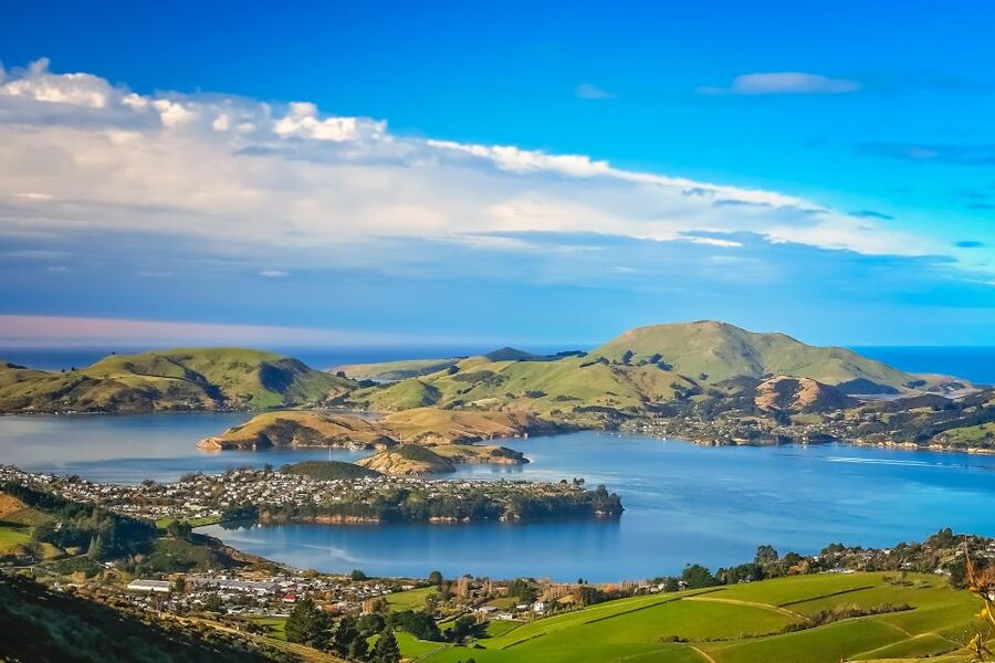 From Port Chalmers: Small Group Castle, Coast & City Tour - Who will get the most from this tour?