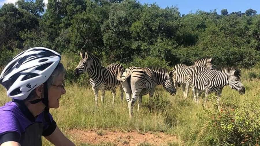 From Pretoria: E-Bike in the wild with game near Jo'burg - Key points to know before you book