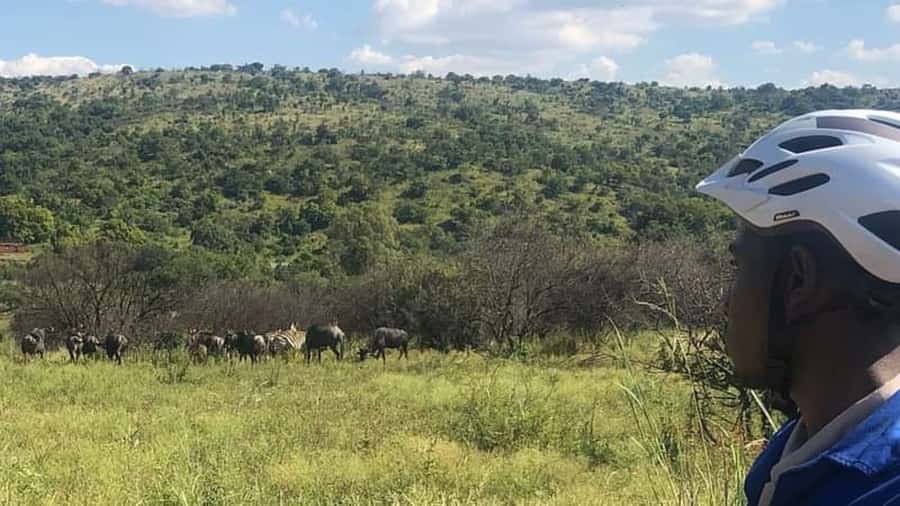 From Pretoria: E-Bike in the wild with game near Jo'burg - Riding the reserve roads
