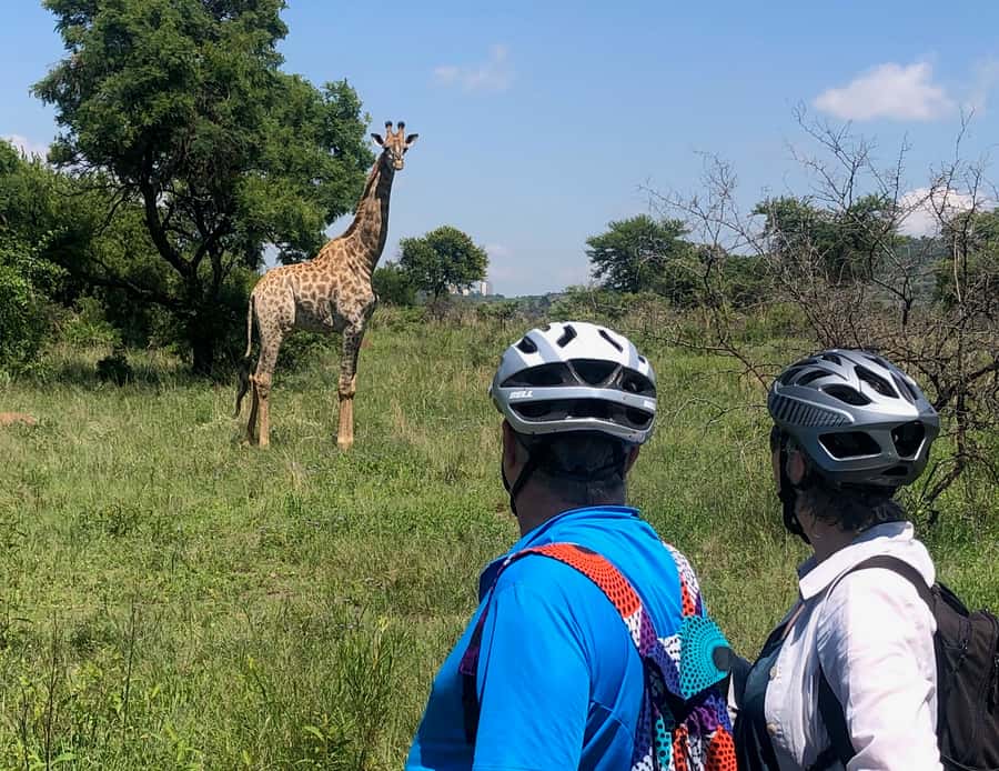From Pretoria: E-Bike in the wild with game near Jo'burg - Watching wildlife from two wheels