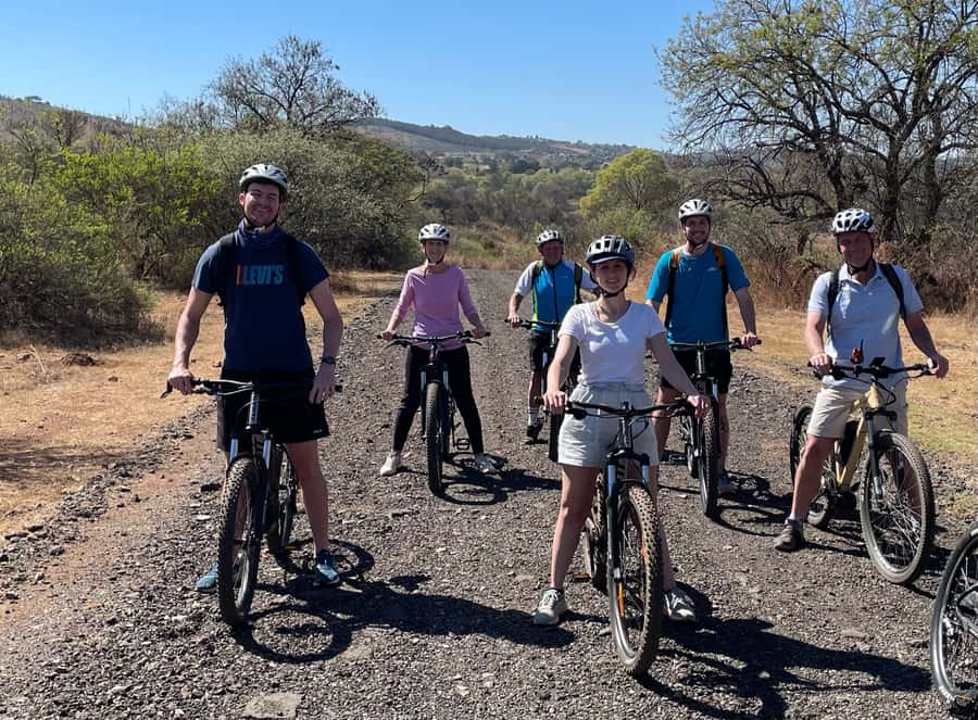 From Pretoria: E-Bike in the wild with game near Jo'burg - Tea, melktert, and a proper finish