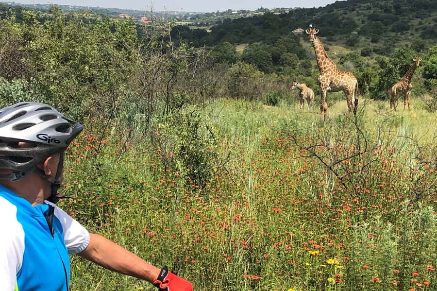 From Pretoria: E-Bike in the wild with game near Jo'burg - Practical preparation for the three hours