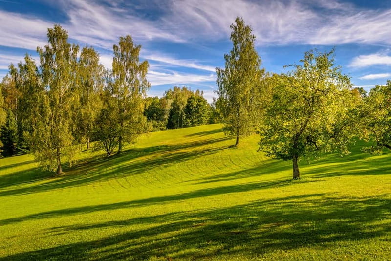 From Riga: Cēsis, Sigulda & Turaida Castle Tour - Booking flexibility and overall value