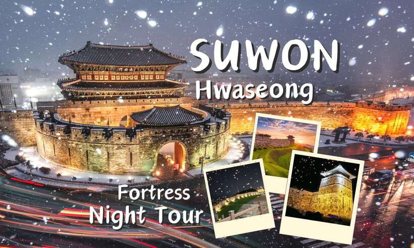 From Seoul: Suwon Hwaseong Fortress Night Tour - Key points at a glance