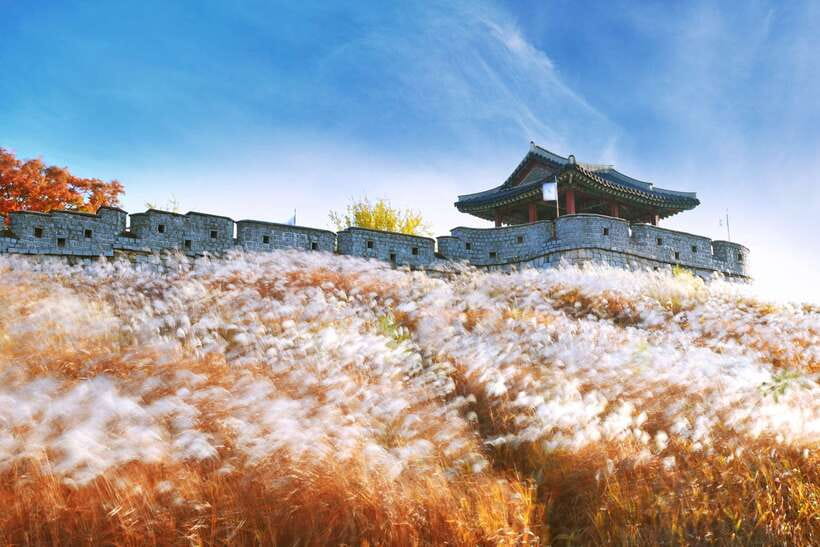 From Seoul: Suwon Hwaseong Fortress Tour - Why Suwon Hwaseong makes a good Seoul escape