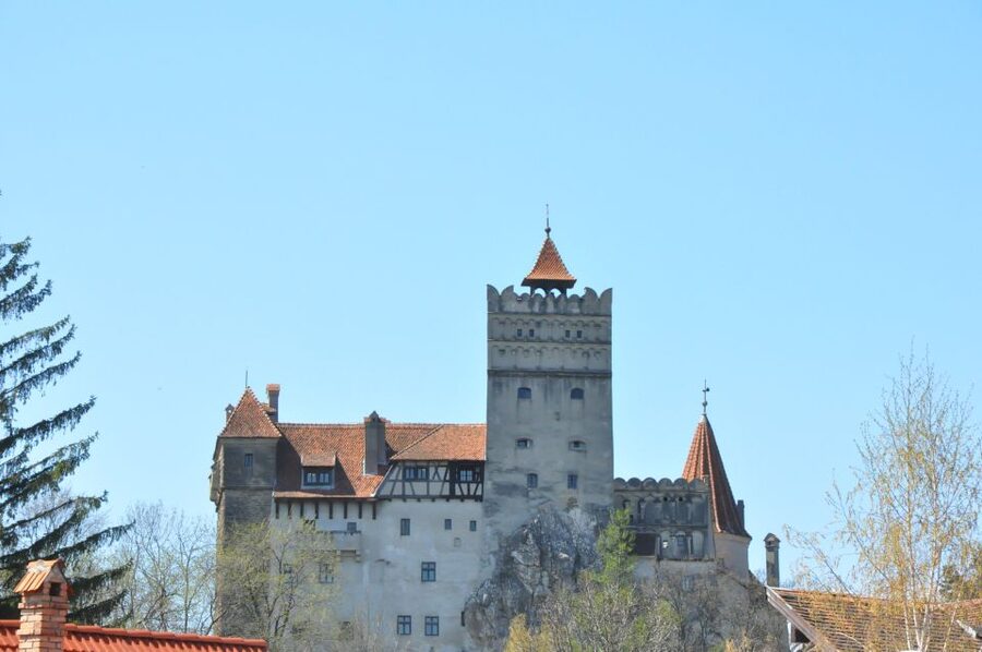 From Sibiu: Day Tour to Brasov and Dracula's Castle - Key points to know before you book