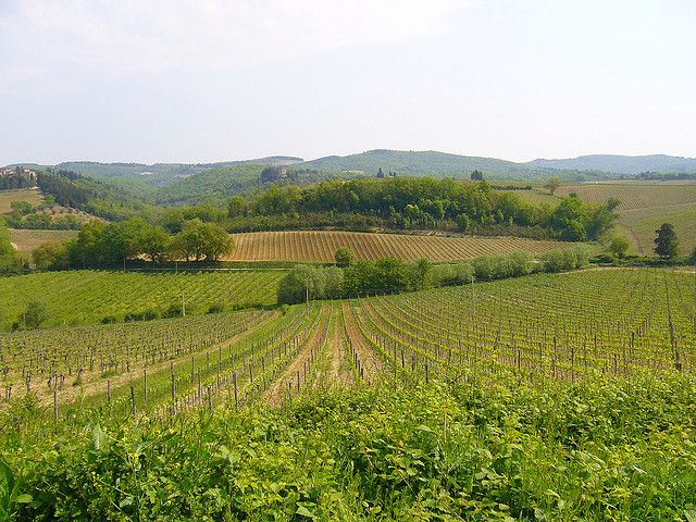 From Siena: Chianti and Castles Tour with Wine Tastings - Who will enjoy it most