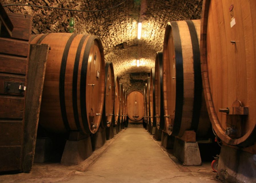 From Siena: Chianti and Castles Tour with Wine Tastings - What you will learn about Chianti wine
