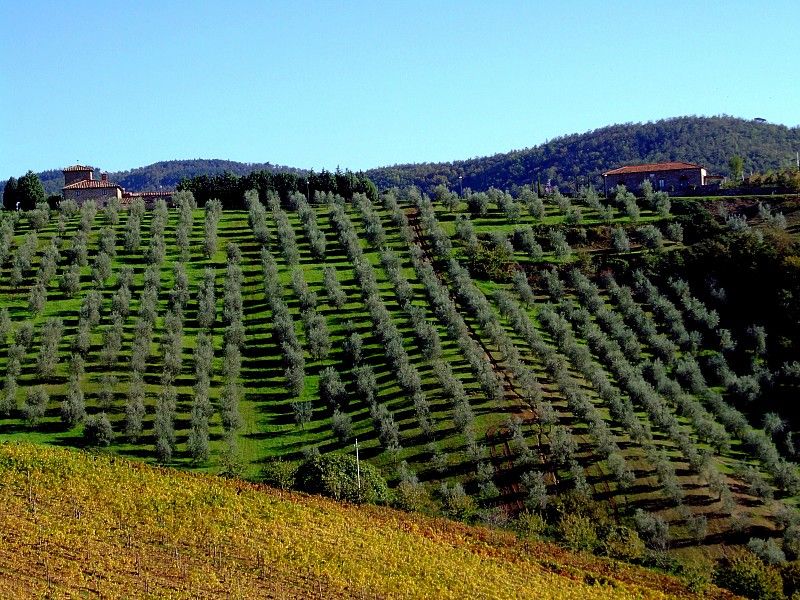 From Siena: Chianti and Castles Tour with Wine Tastings - Five hours, carefully packed