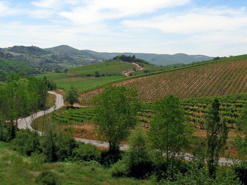 From Siena: Chianti and Castles Tour with Wine Tastings - Is $100 a fair price?