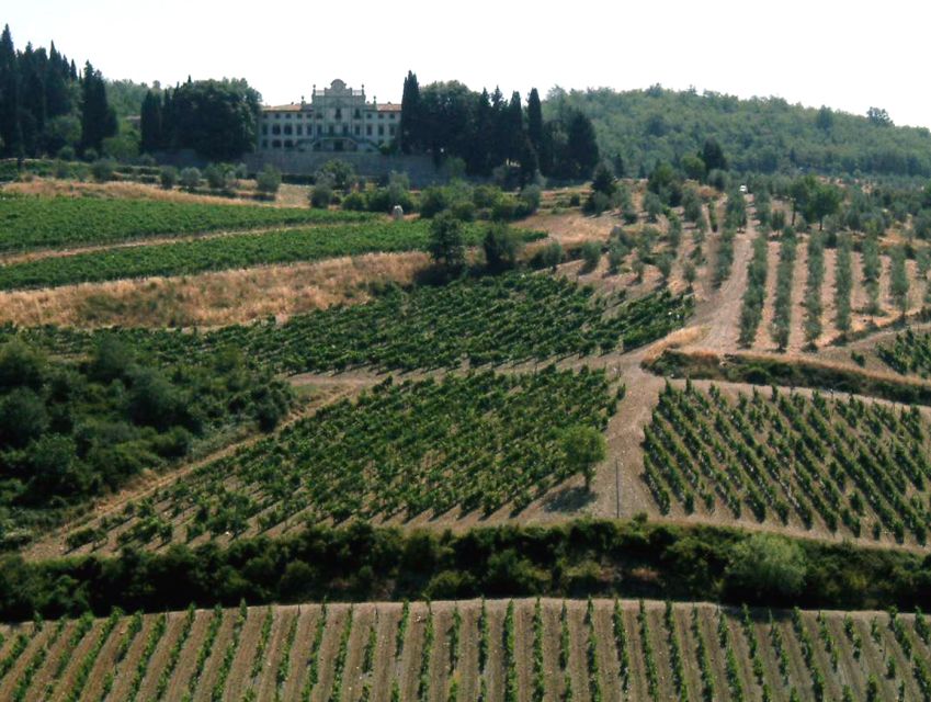From Siena: Chianti and Castles Tour with Wine Tastings - Rolling through the Chianti countryside