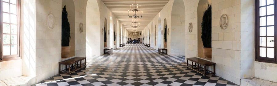 From Tours/Amboise: Chenonceau & Chambord Chateaux Day Trip - What the small group changes