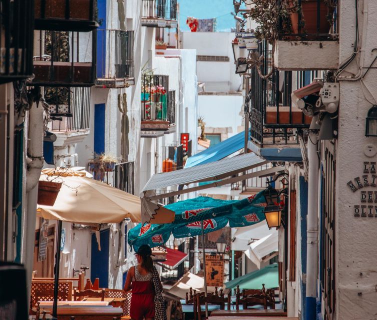 From Valencia: Day Trip to Peñiscola with Castle Visit - What the $94 price really covers